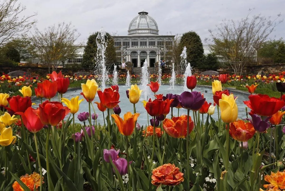 Tranquil Escape In Church Hill Near Libby Park Richmond Apartment